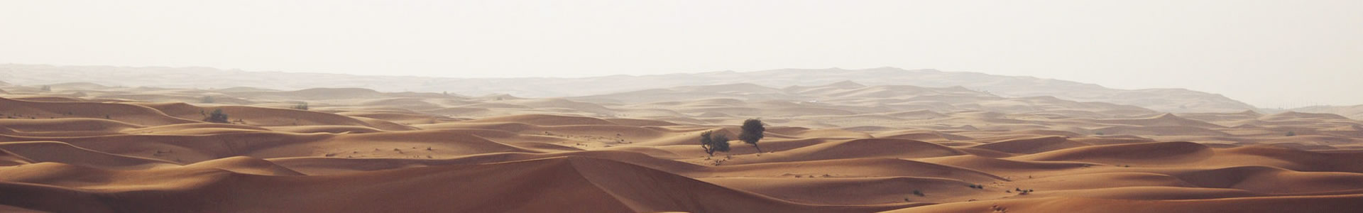 ˹Ƽ޹˾